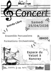 Concert musique