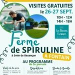 Spiruline