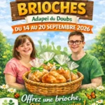 affiche opération brioches