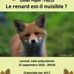 conférence renard