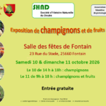 expo champignons oct 2026