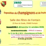 nouvelle affiche mycologie