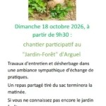 Entretien jardin forêt