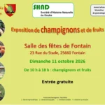 mycologie nouvelle affiche